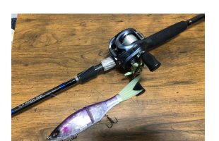 バス釣り タックル バス釣り×トレーラーのタックル情報 | 魚速タックルDB
